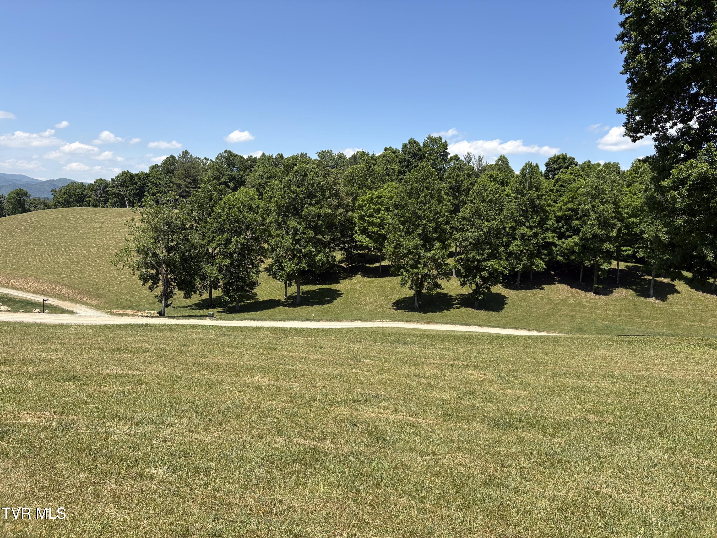Lot 37 Draft Road, Unit 37 Butler, TN 37640 - Photo 2 of 23 IMG_1962