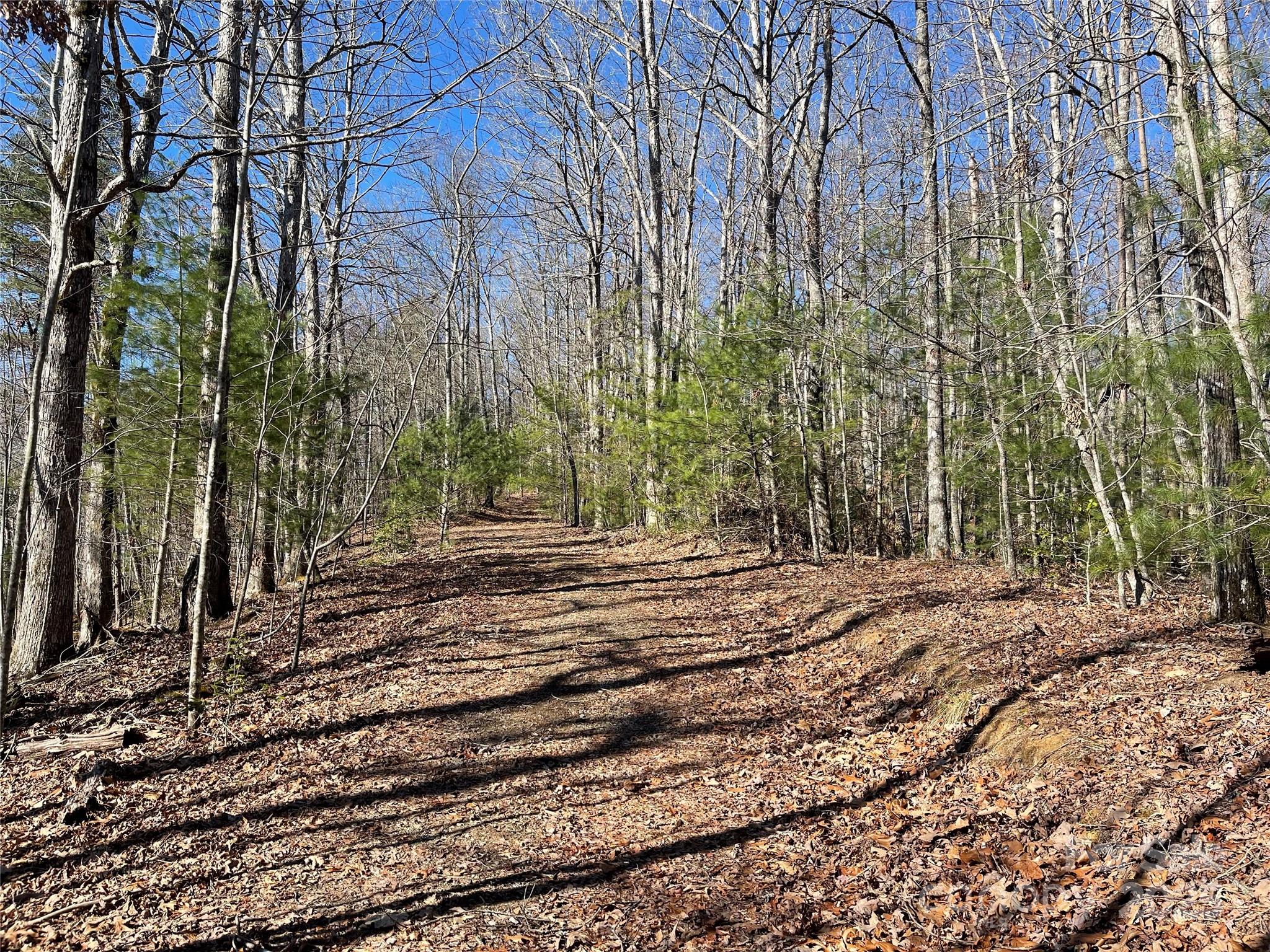 0 Pine Log Road Warne, NC 28909 - Photo 5 of 31 Gallery Image 5