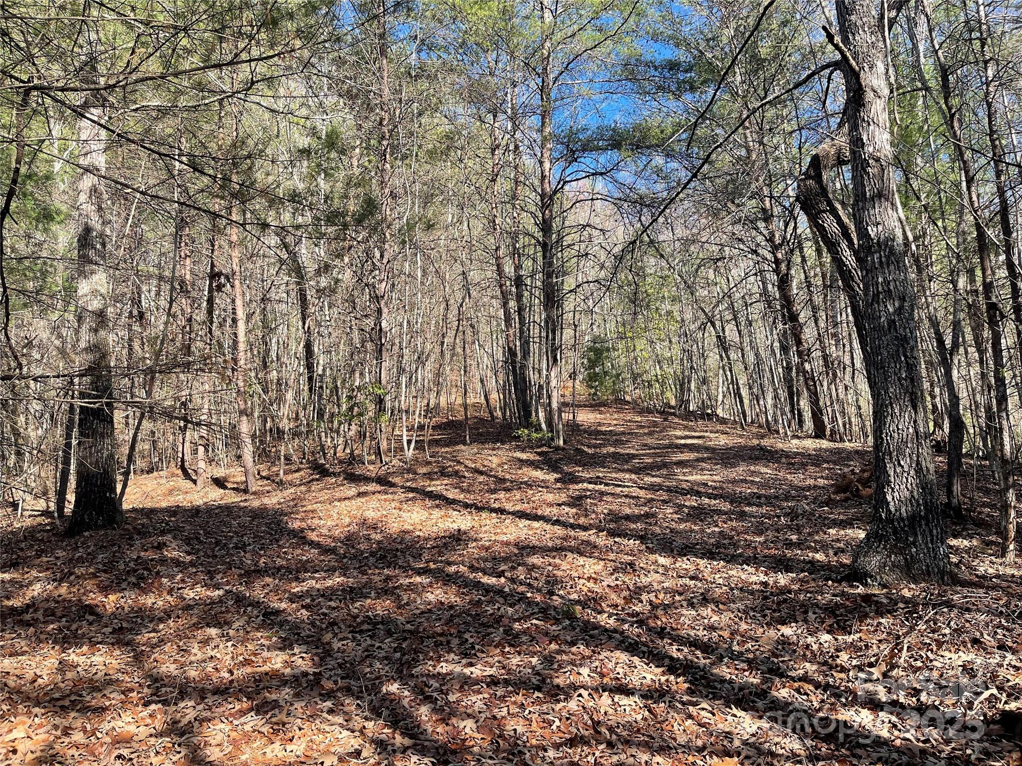 0 Pine Log Road Warne, NC 28909 - Photo 8 of 31 Gallery Image 8