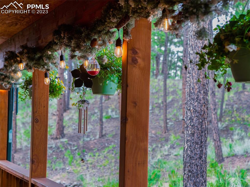290 North Mountain Estates Road Florissant, CO 80816 - Photo 12 of 32 a view of a door and fountain in the house