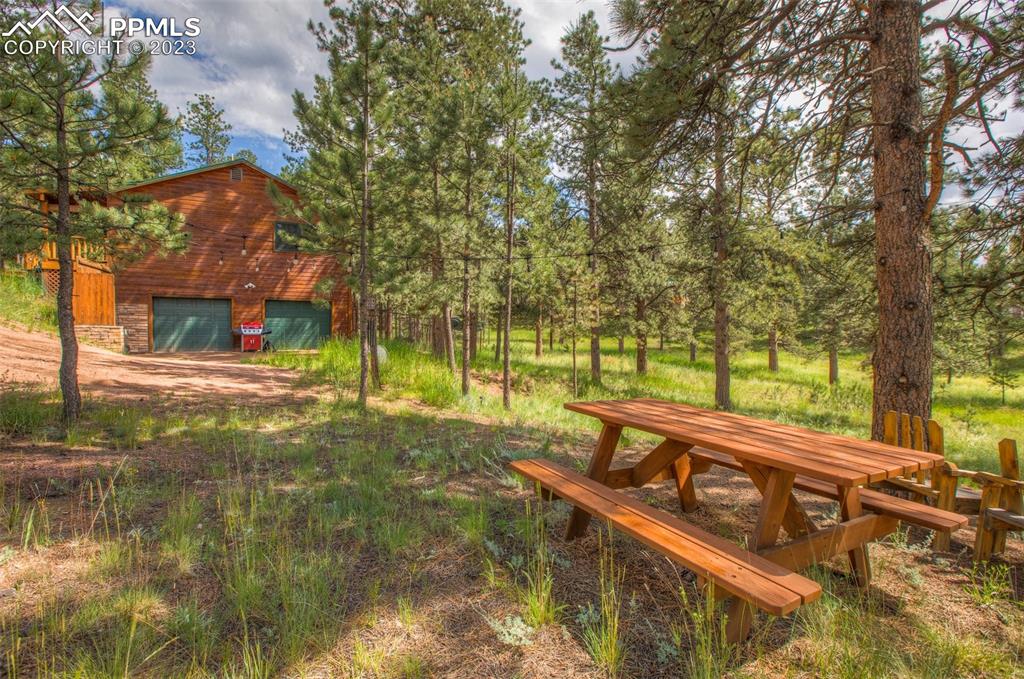 290 North Mountain Estates Road Florissant, CO 80816 - Photo 6 of 32 a view of a street with large trees