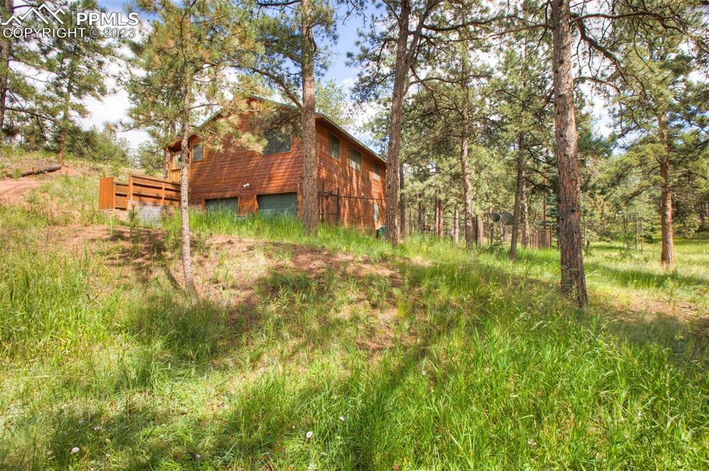 290 North Mountain Estates Road Florissant, CO 80816 - Photo 7 of 32 a backyard of a house with lots of plants and large trees