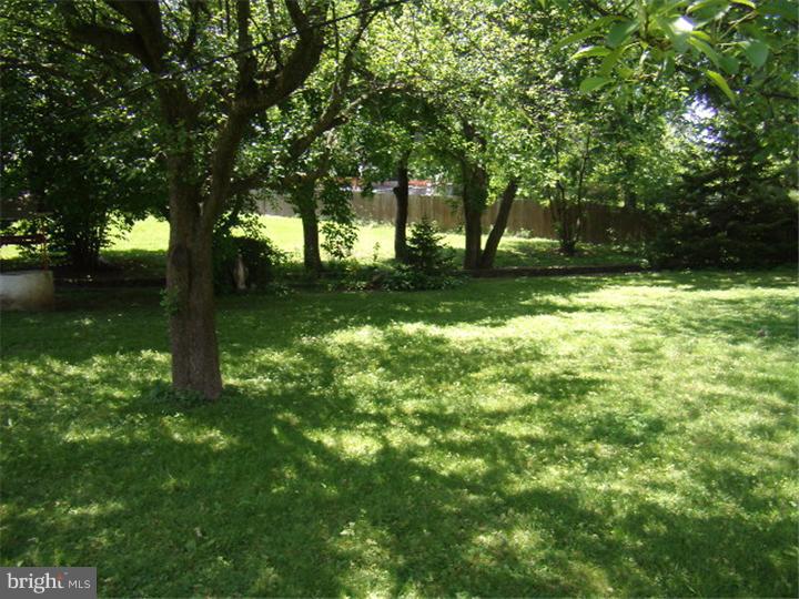 630 East Springfield Road Springfield, PA 19064 - Photo 3 of 21 Exterior Back