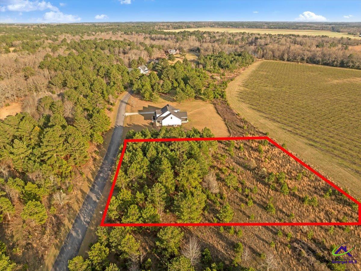 0 Woodland Trail Road Cochran, GA 31014 - Photo 5 of 20