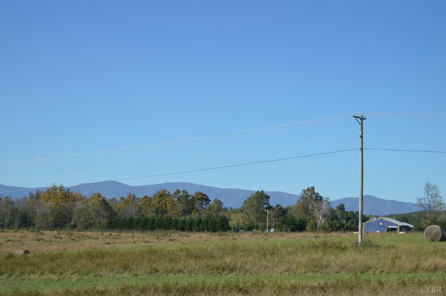 8 Goode Station Road Goode, VA 24556 - Photo 4 of 11 a view of a field with a tree in the background