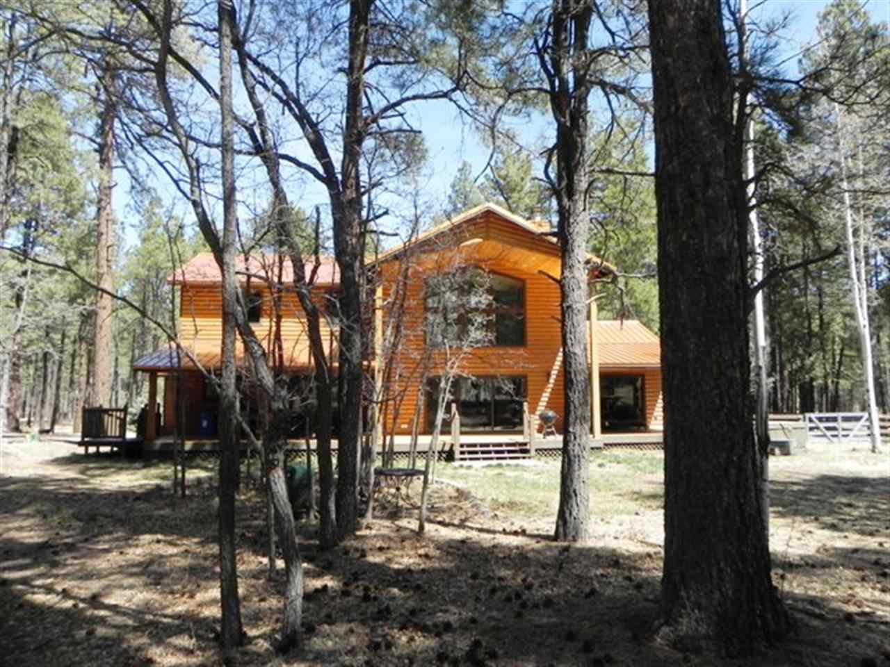 22 County Road 2050 Alpine, AZ 85920 - Photo 1 of 36