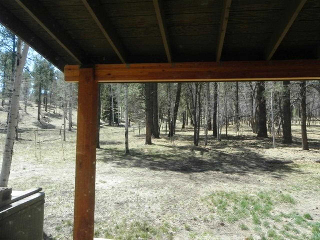 22 County Road 2050 Alpine, AZ 85920 - Photo 13 of 36