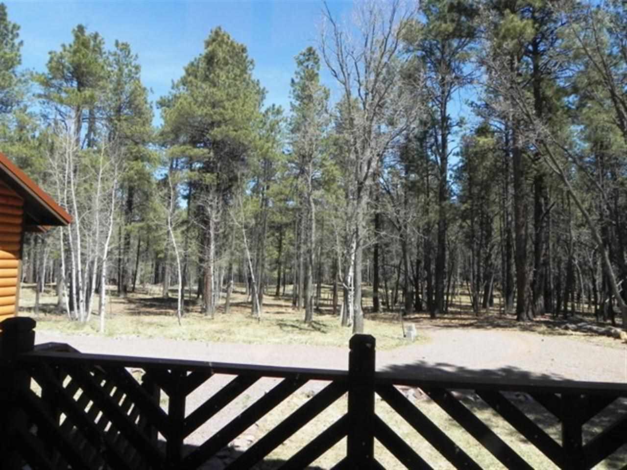 22 County Road 2050 Alpine, AZ 85920 - Photo 19 of 36