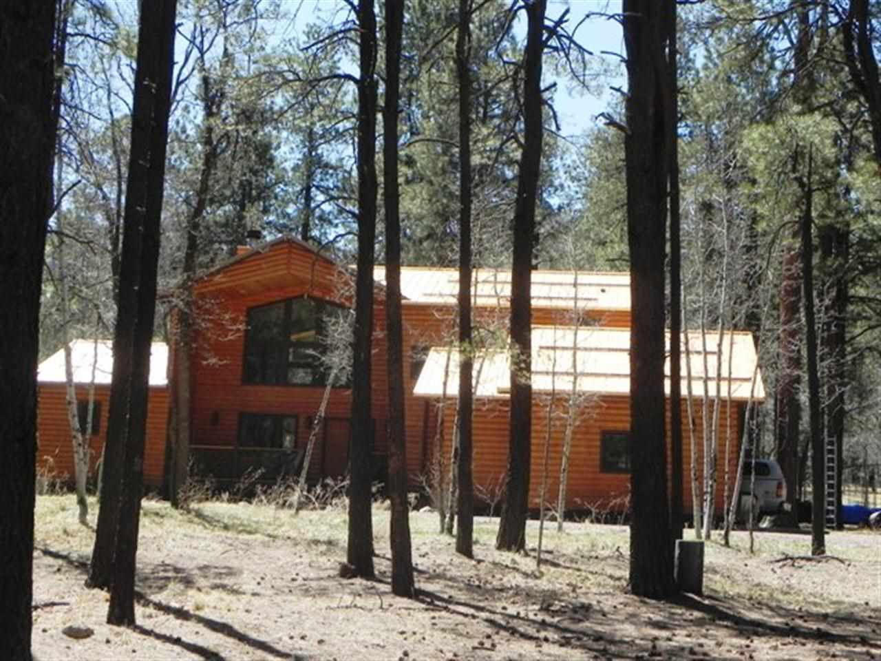 22 County Road 2050 Alpine, AZ 85920 - Photo 2 of 36