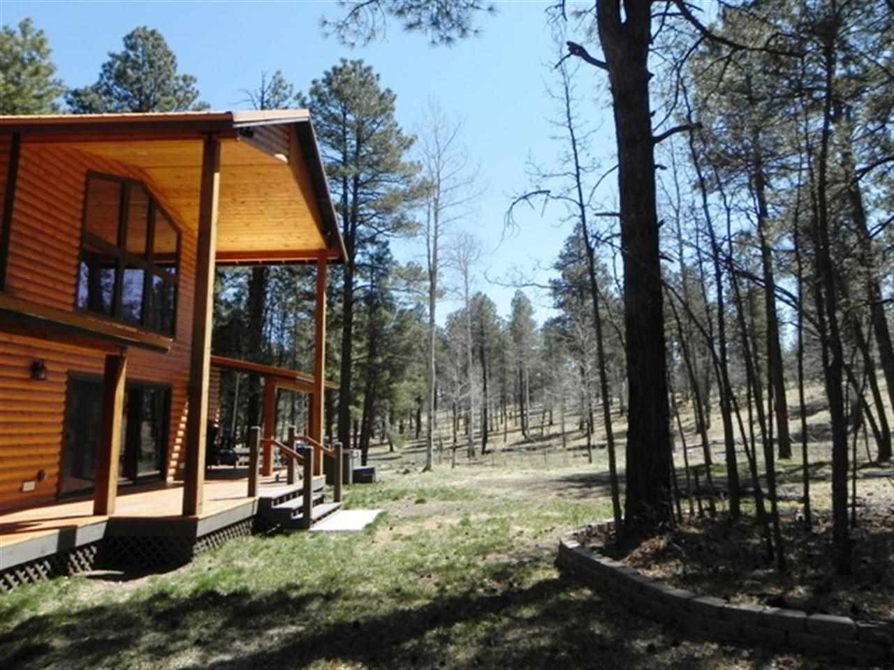 22 County Road 2050 Alpine, AZ 85920 - Photo 3 of 36