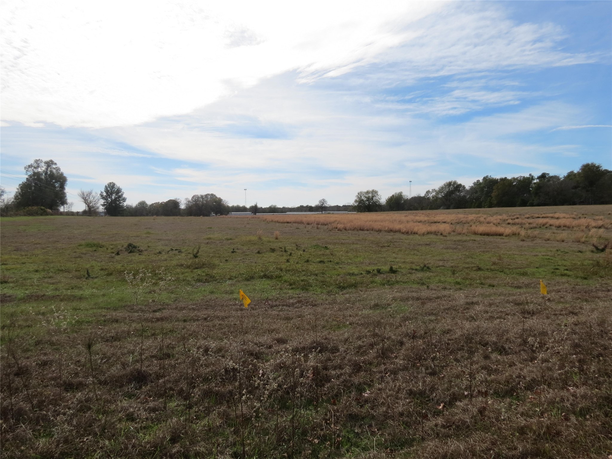 14010 Longstreet Road, Unit 9 Willis, TX 77318 - Photo 8 of 8 a view of an ocean beach