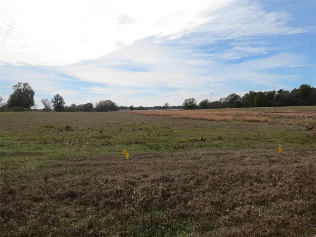 $790,000 | 14010 Longstreet Road, Unit 9, Willis, TX 77318