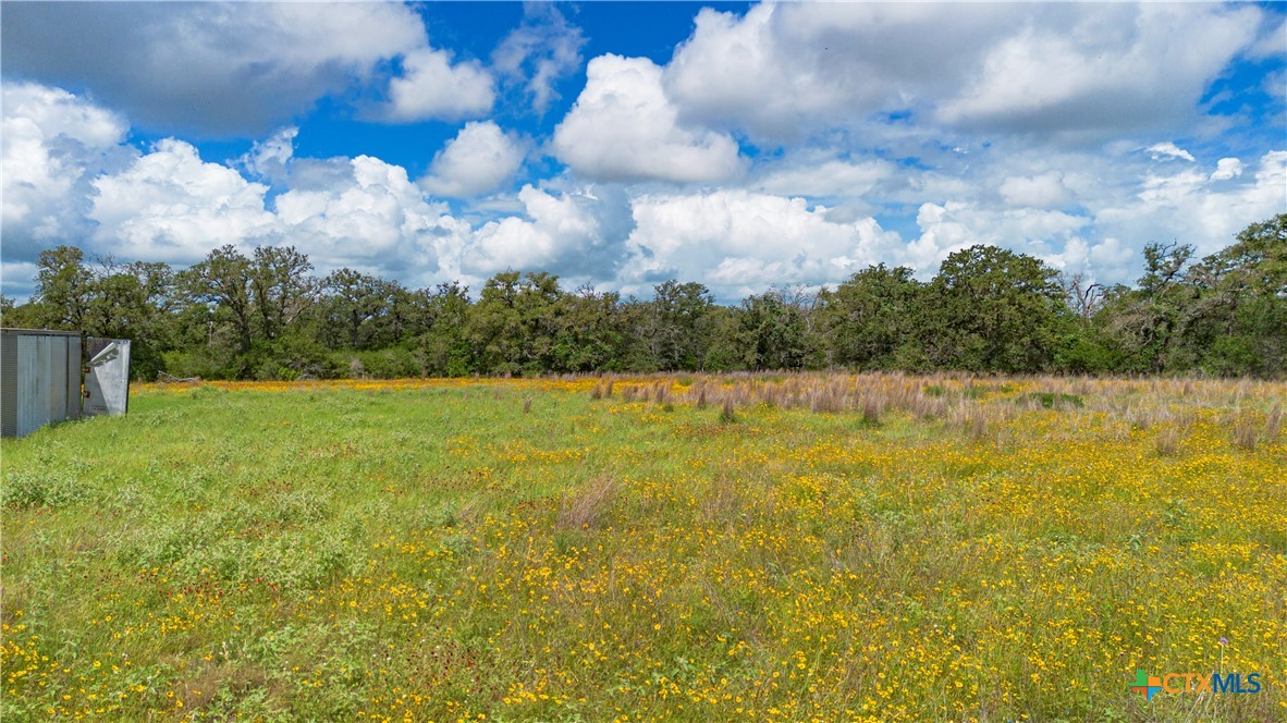 84 Longhorn Road Stockdale, TX 78160 - Photo 14 of 31