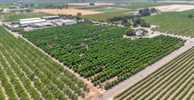 a view of a lake with a yard