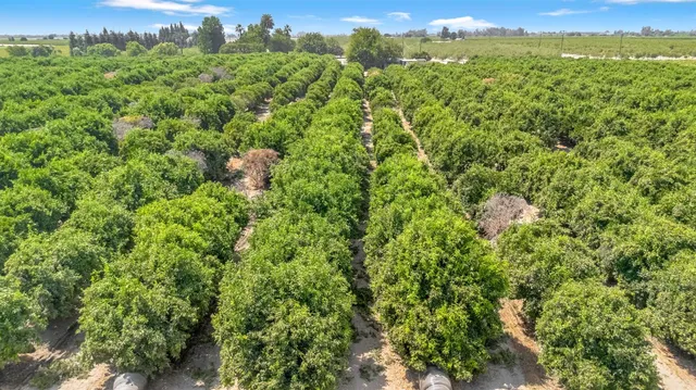 a view of a lush green forest with a houses