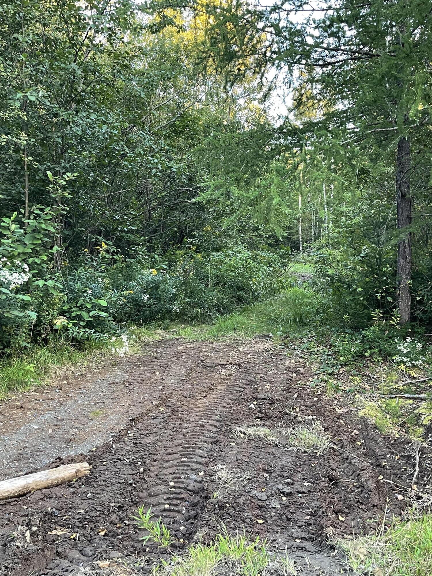 608 River Road Sebec, ME 04481 - Photo 66 of 68 IMG_8319