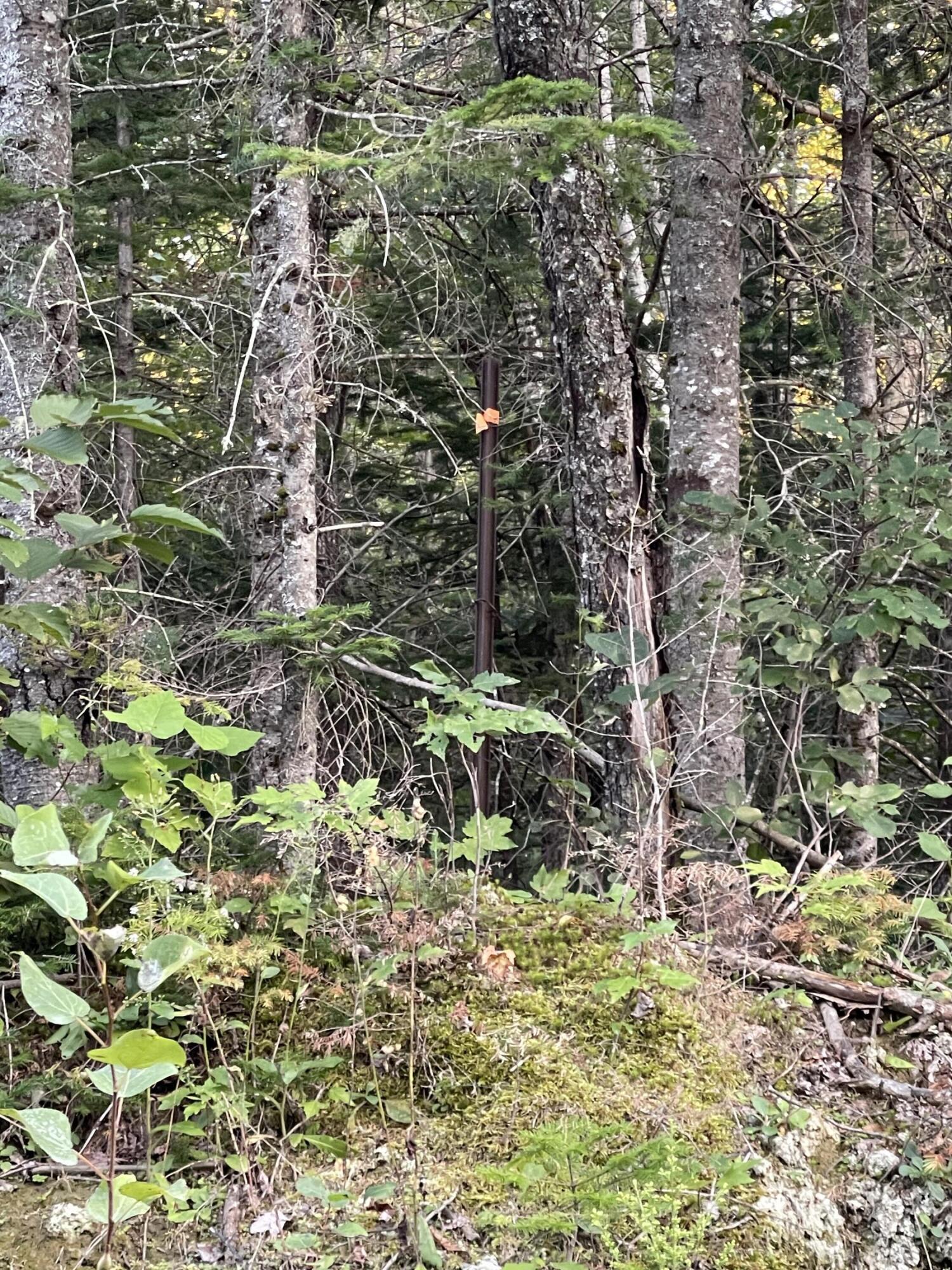 608 River Road Sebec, ME 04481 - Photo 67 of 68 IMG_8318