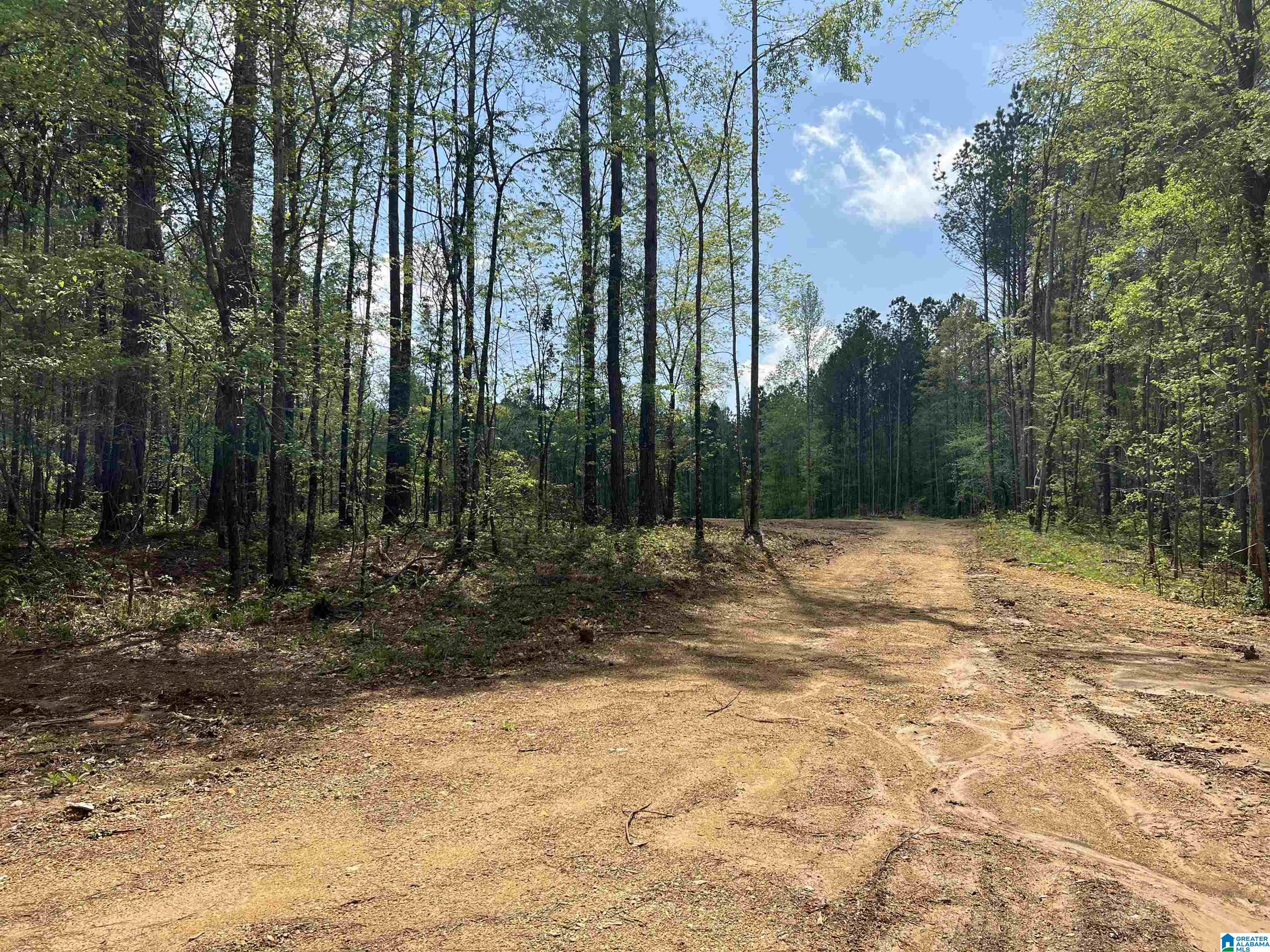 371 North Horton Road, Unit 1A Wilsonville, AL 35186 - Photo 8 of 8