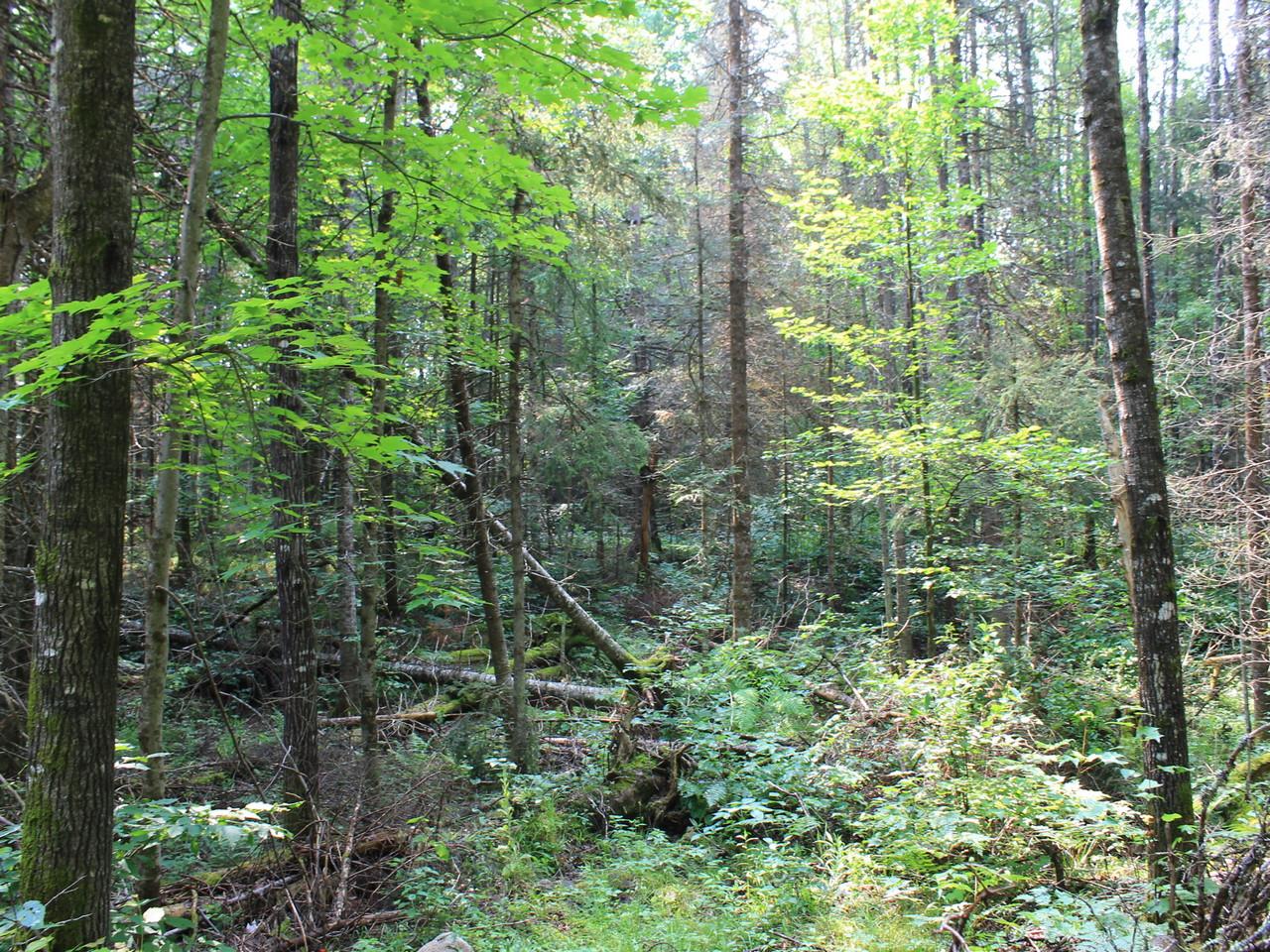 On Nathan Pass, Unit LT 32 Mercer, WI 54547 - Photo 28 of 33 Gallery Image 28