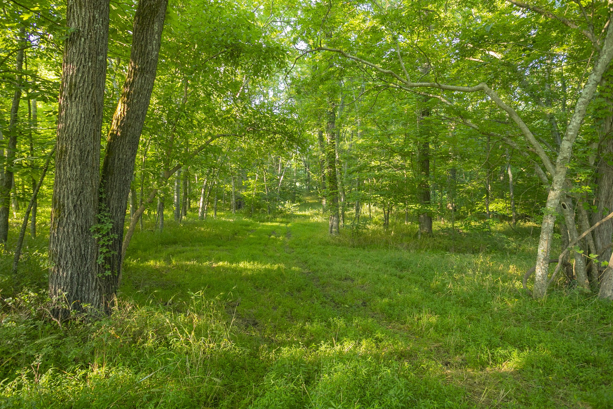6330 Cox Road Arrington, TN 37014 - Photo 27 of 31 Gallery Image 27