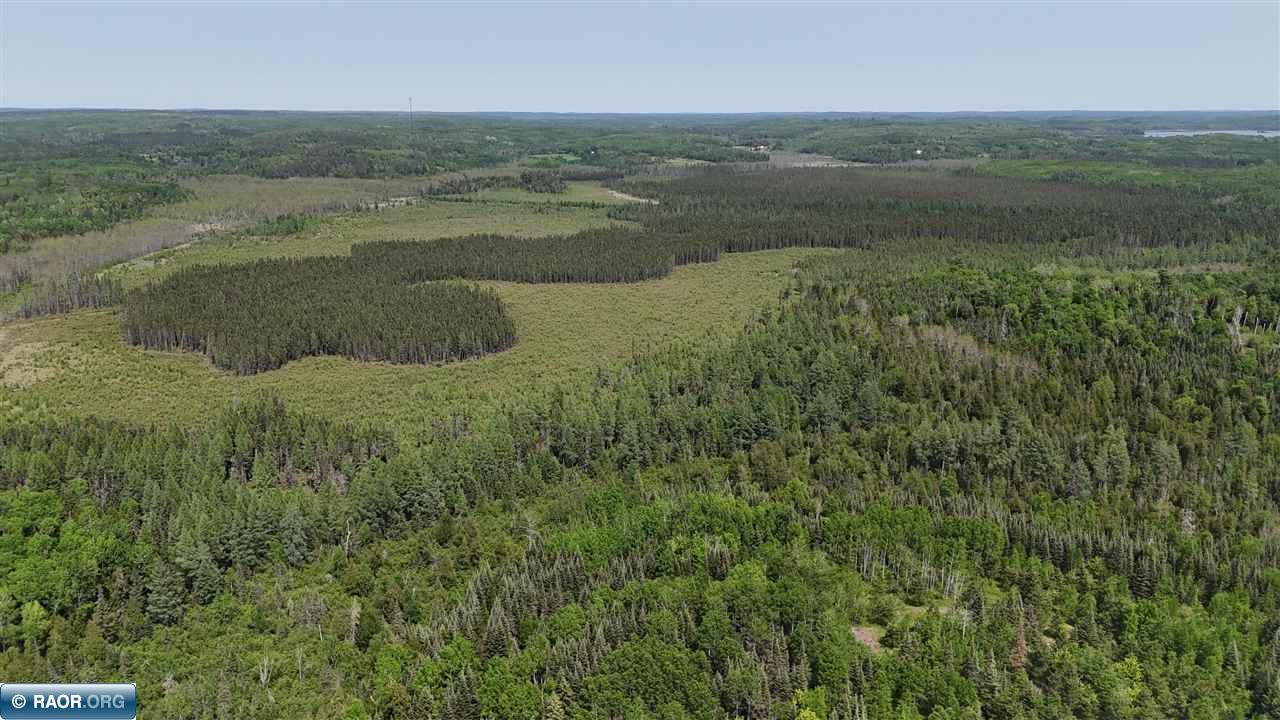 11.85 Bessette Road Orr, MN 55771 - Photo 43 of 50