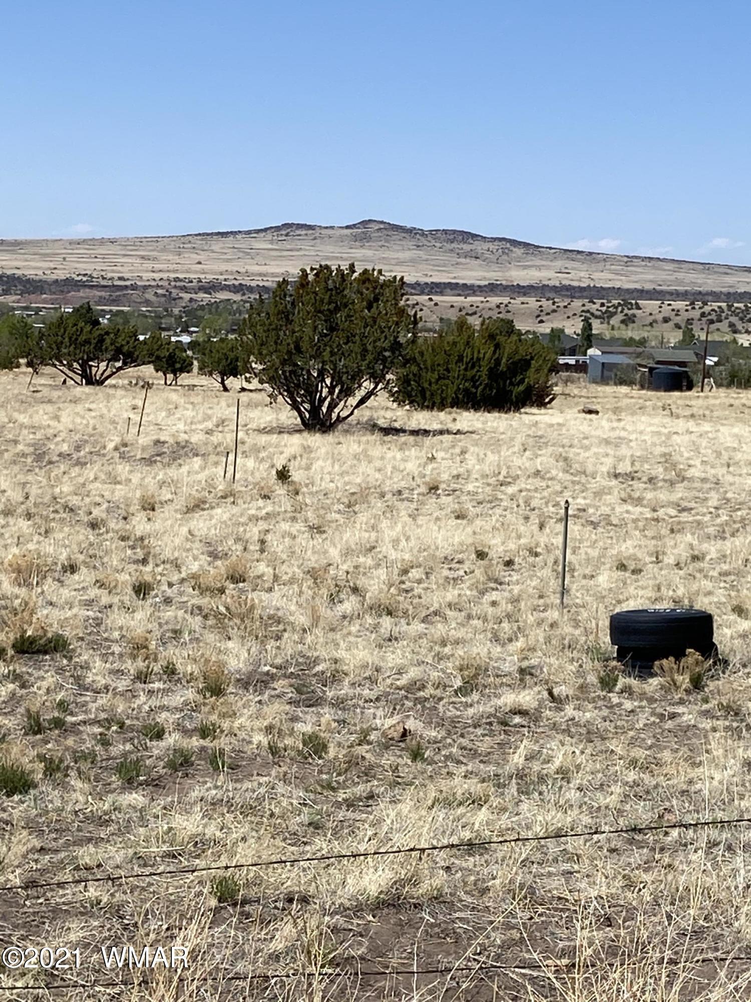 9 County Road 4074 Springerville, AZ 85938 - Photo 2 of 5