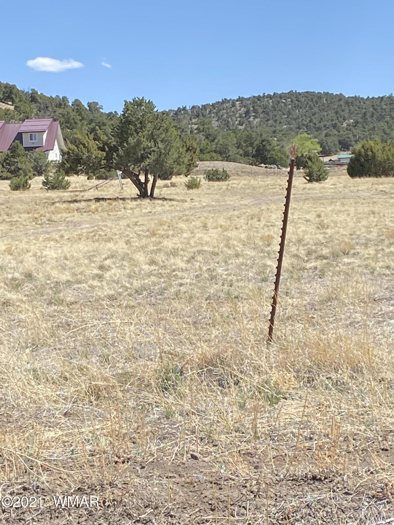 9 County Road 4074 Springerville, AZ 85938 - Photo 4 of 5