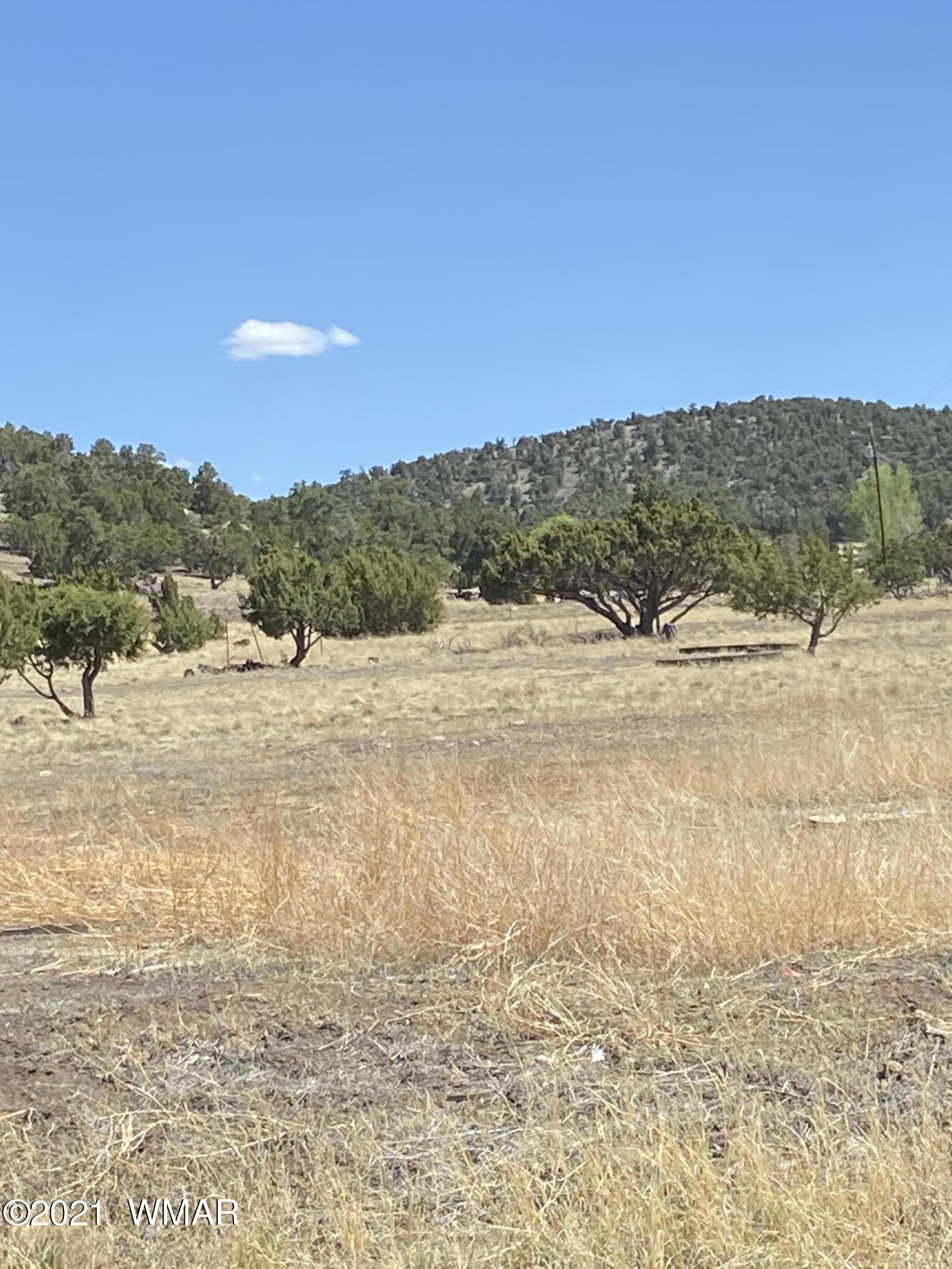 9 County Road 4074 Springerville, AZ 85938 - Photo 5 of 5