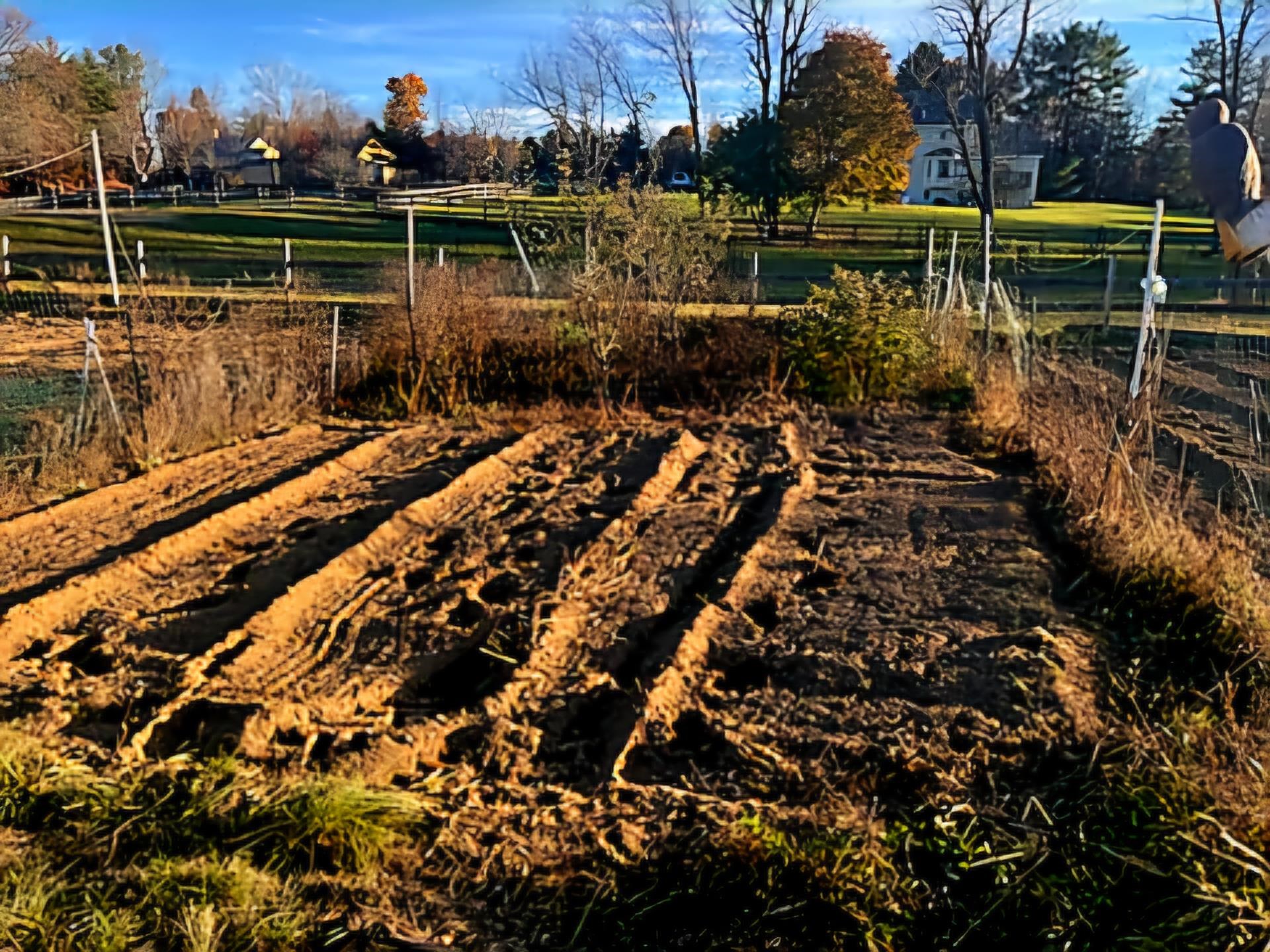 166 Pickpocket Road Brentwood, NH 03833 - Photo 51 of 57