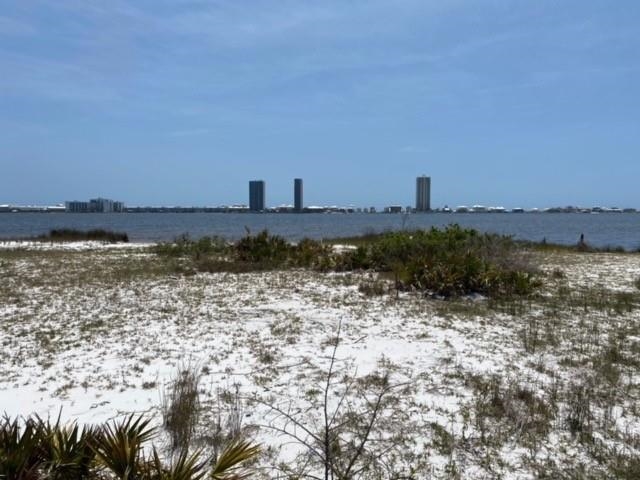 Ft Morgan Road Gulf Shores, AL 36542 - Photo 9 of 11
