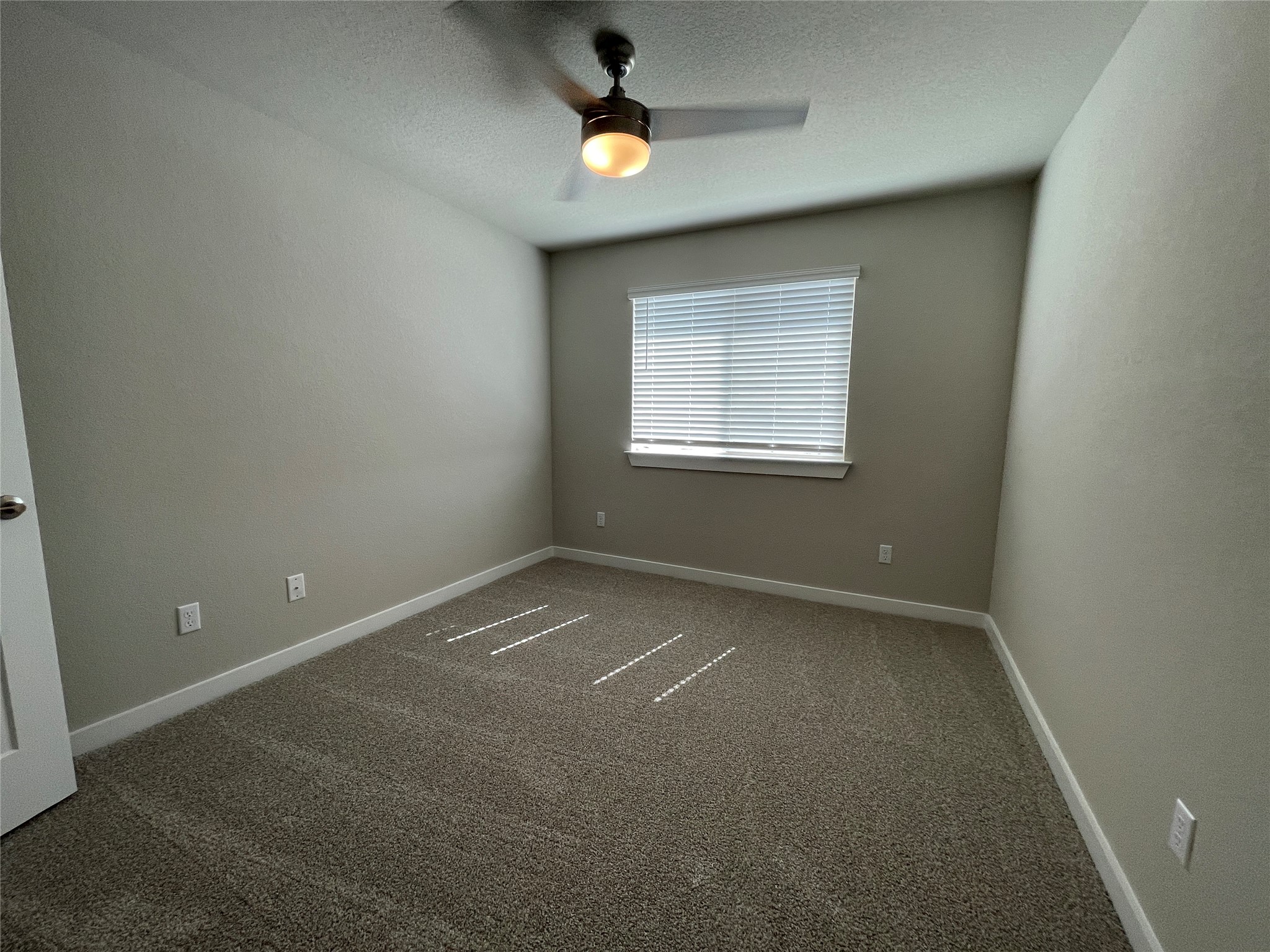 217 Coda Crossing Georgetown, TX 78633 - Photo 12 of 18