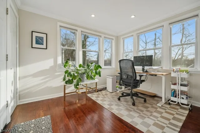 a room with furniture and a potted plant
