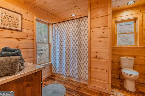 a bathroom with a toilet and a shower