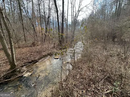 a view of a yard with trees