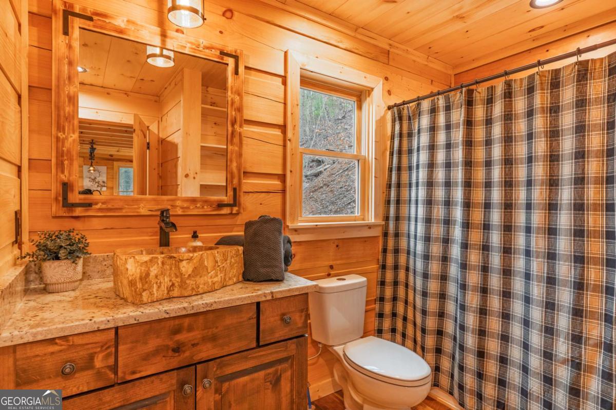 138 Rhondas Way, Unit 106 Ellijay, GA 30540 - Photo 7 of 26 a bathroom with a sink toilet vanity and shower