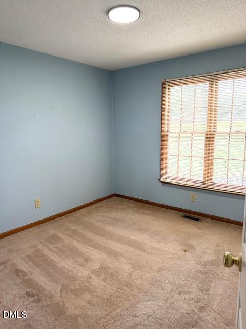 460 Dr Parrott Road Henderson, NC 27537 - Photo 11 of 23 Tezza-9713