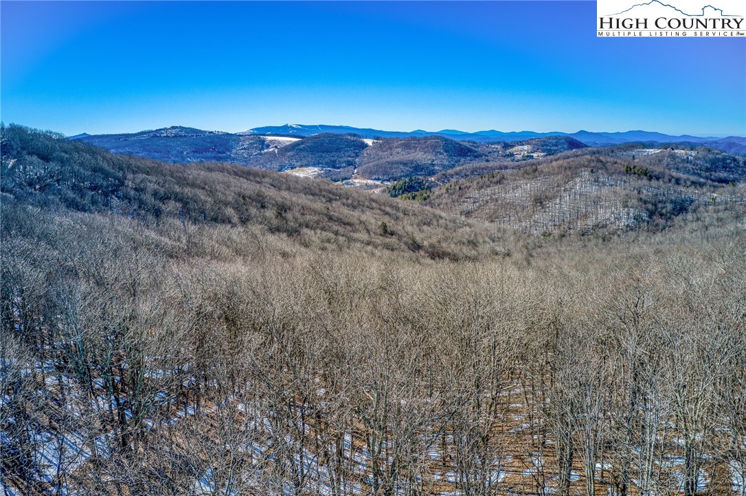 Grady Winkler Road Boone, NC 28607 - Photo 16 of 16