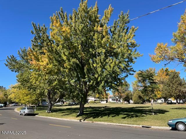 1155 Wesley Drive Reno, NV 89503 - Photo 53 of 53 View of the park from the house - #2