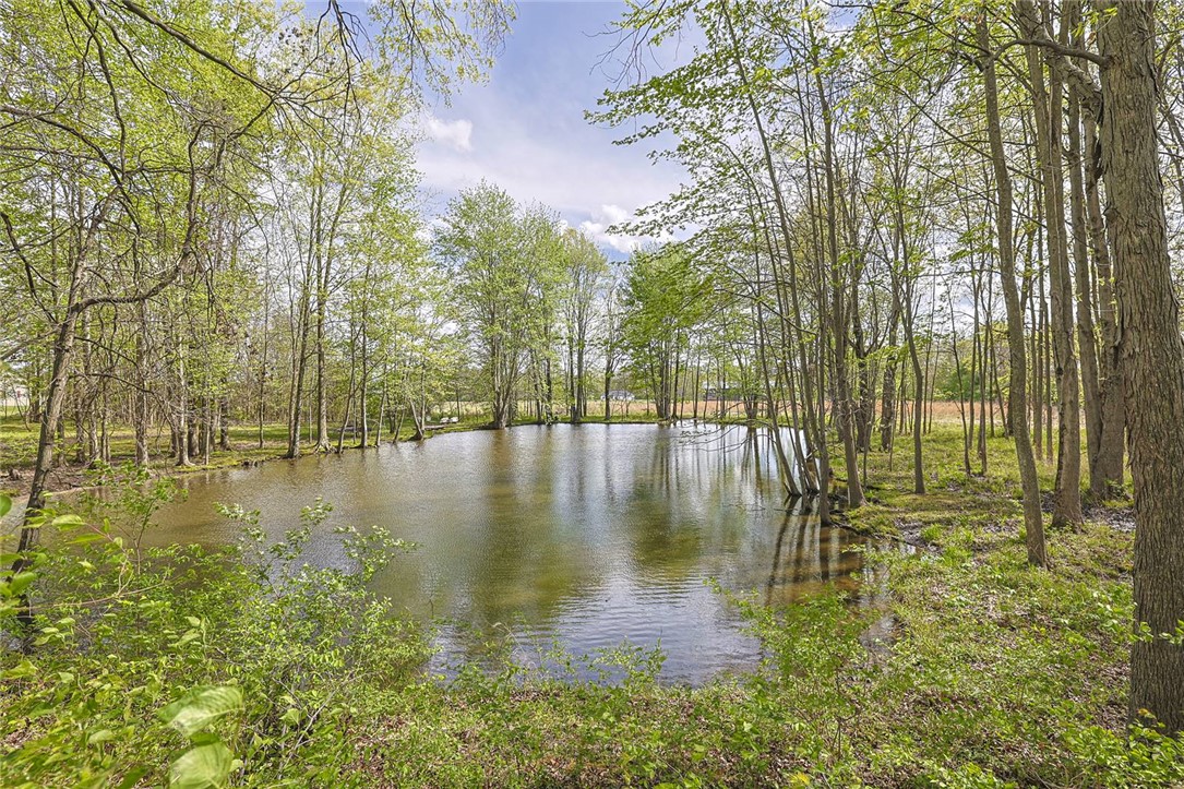 1757 Phillips Road Lebanon, OH 45036 - Photo 42 of 51 A tranquil pond reflecting the sky, surrounded by verdant trees under a bright blue sky.