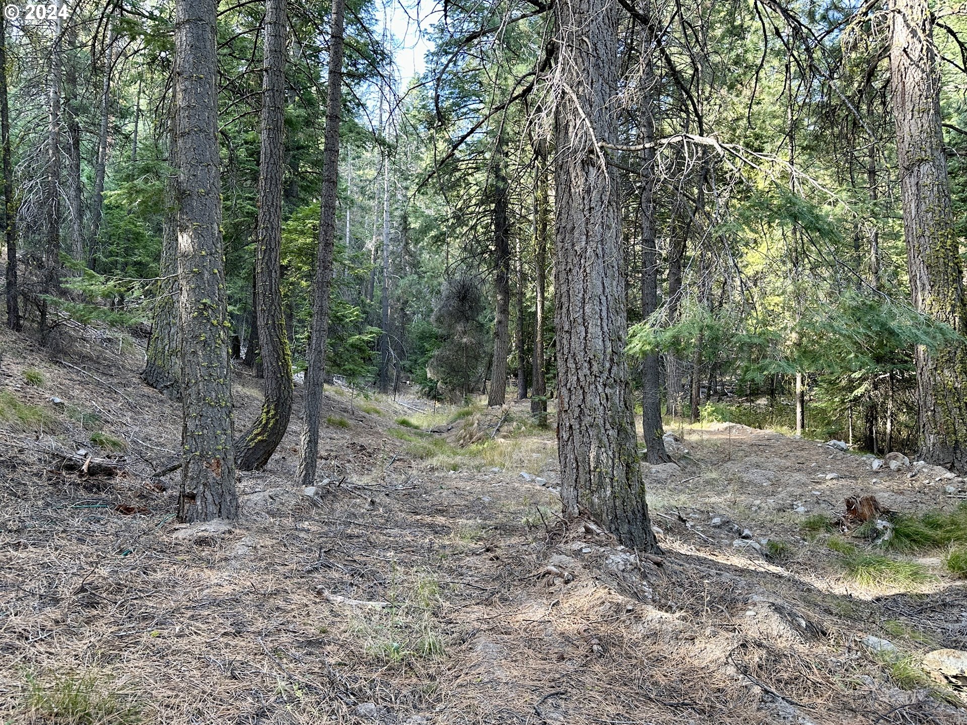 0 152nd Road Drewsey, OR 97904 - Photo 27 of 43 Gallery Image 27