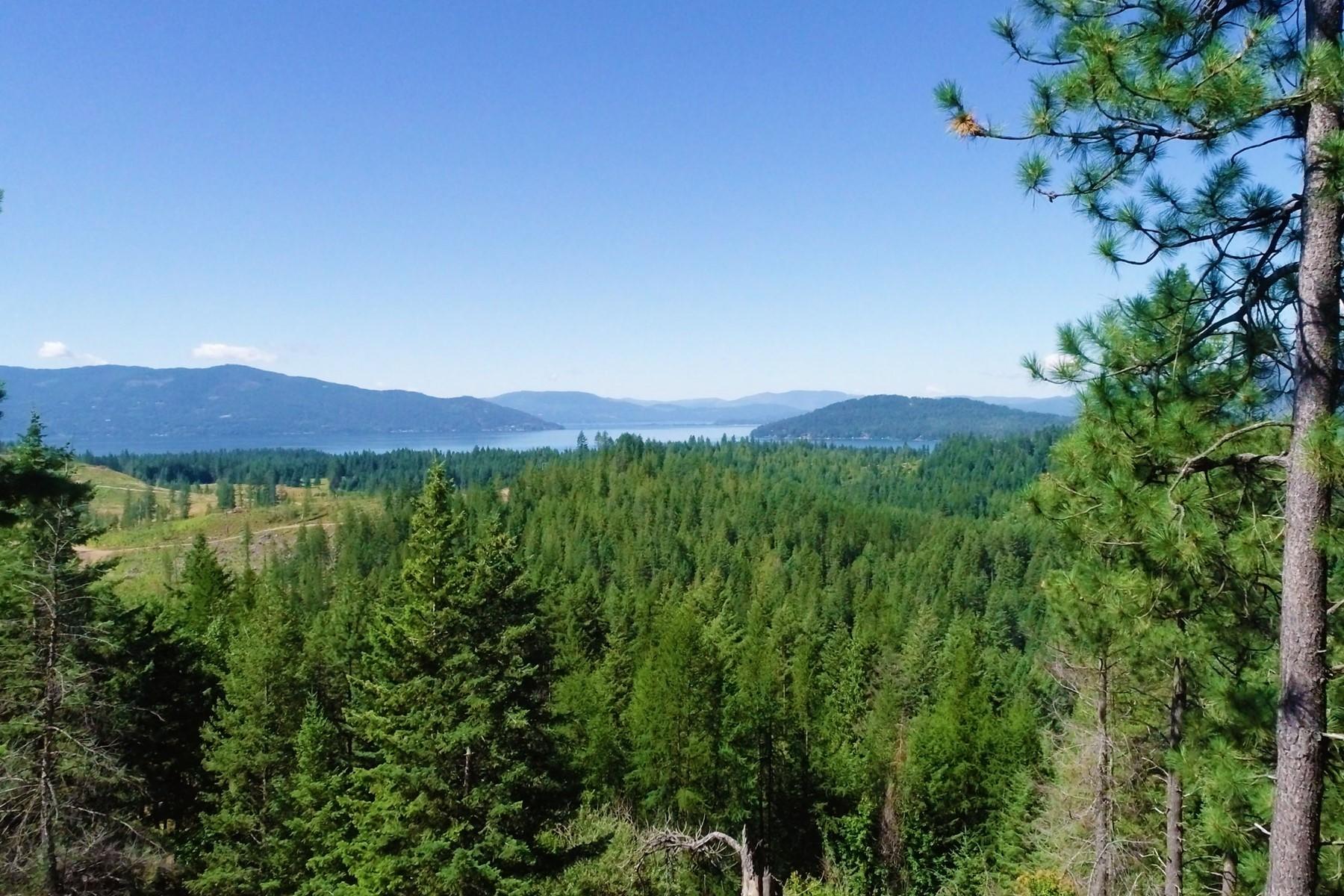 Nka Nka Trappers Loop Sandpoint, ID 83864 - Photo 1 of 1 70418227