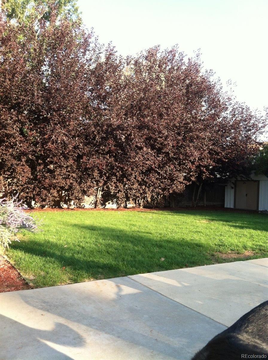 1744 30th Street Road Greeley, CO 80631 - Photo 20 of 20 Gallery Image 20