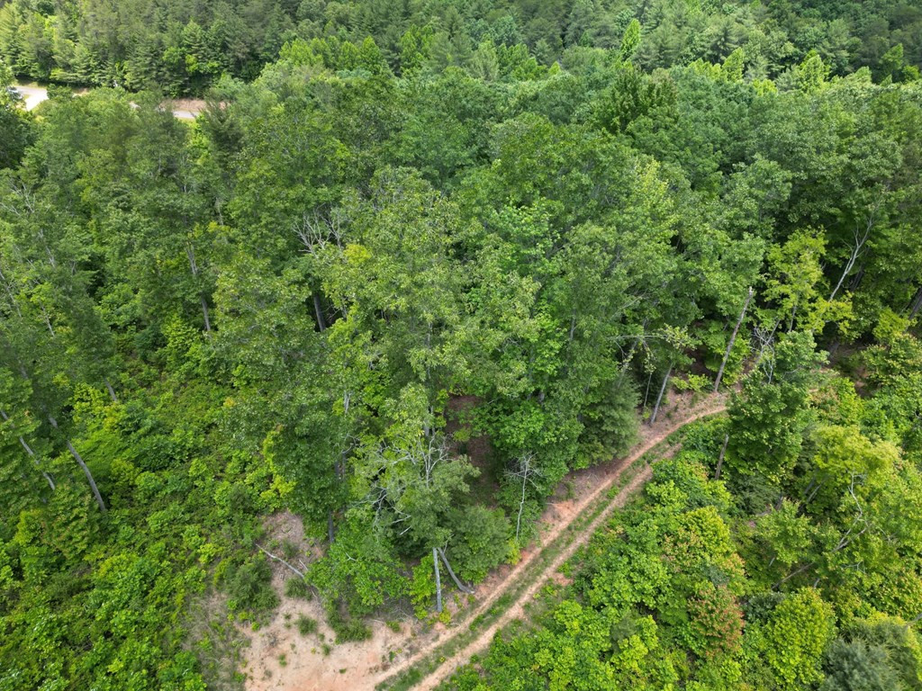 7.91 Prince Road Murphy, NC 28906 - Photo 32 of 41