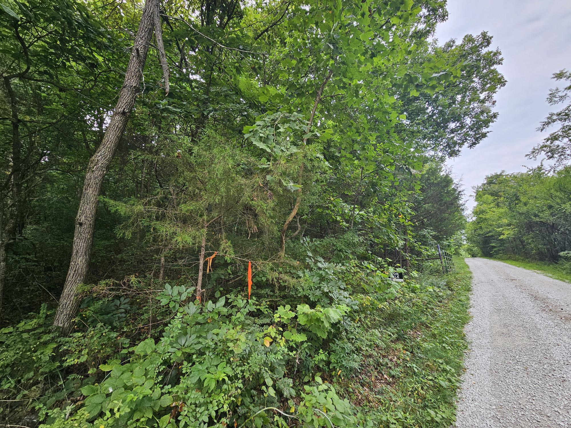 -18 Ac Westview Road Neosho, MO 64850 - Photo 2 of 12 Bresee 18 ac pic 2