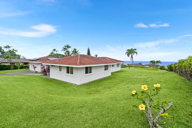 a view of a garden with plants
