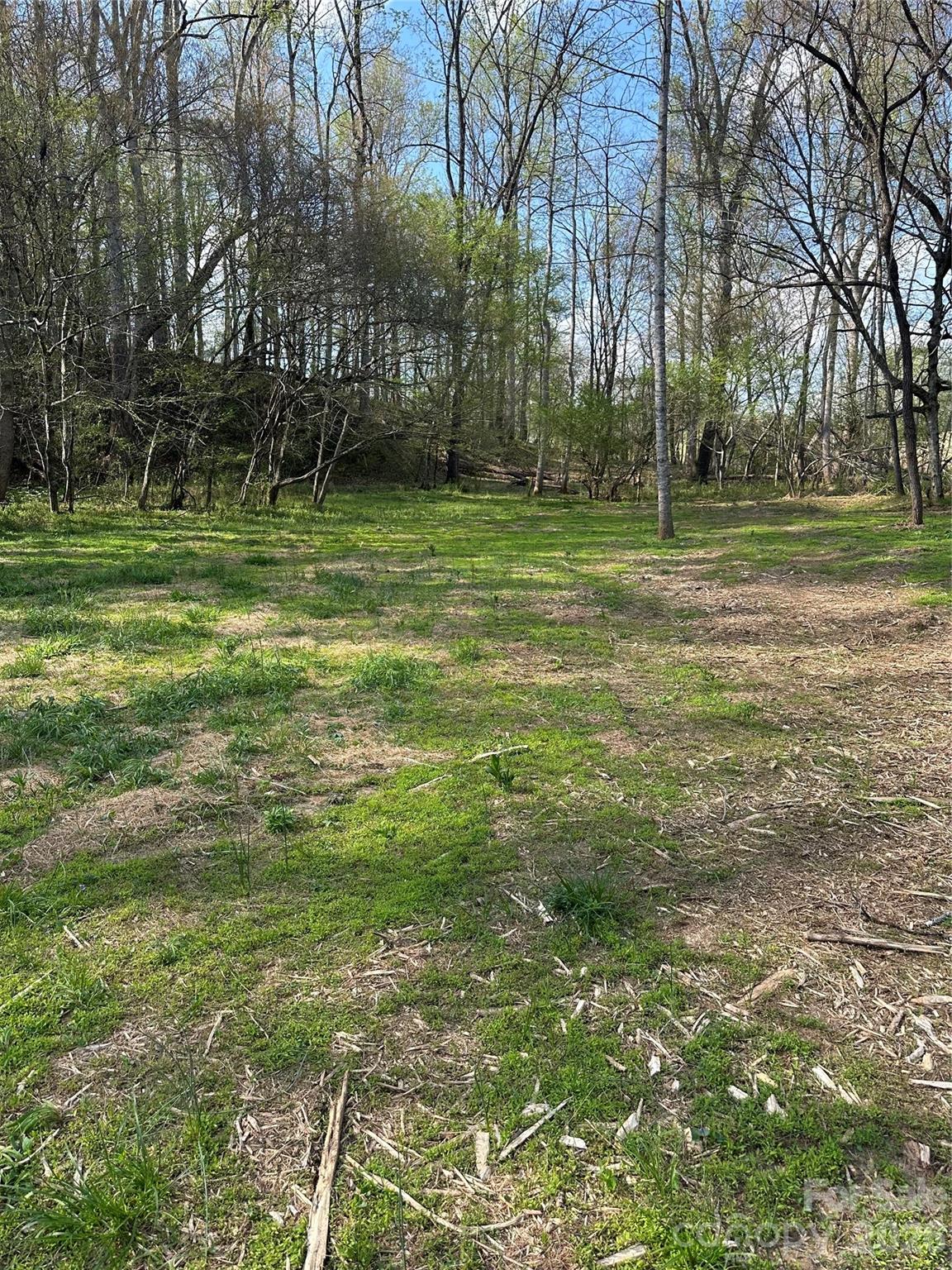 0 Stikeleather Road Hiddenite, NC 28636 - Photo 23 of 28 a view of a park with large trees