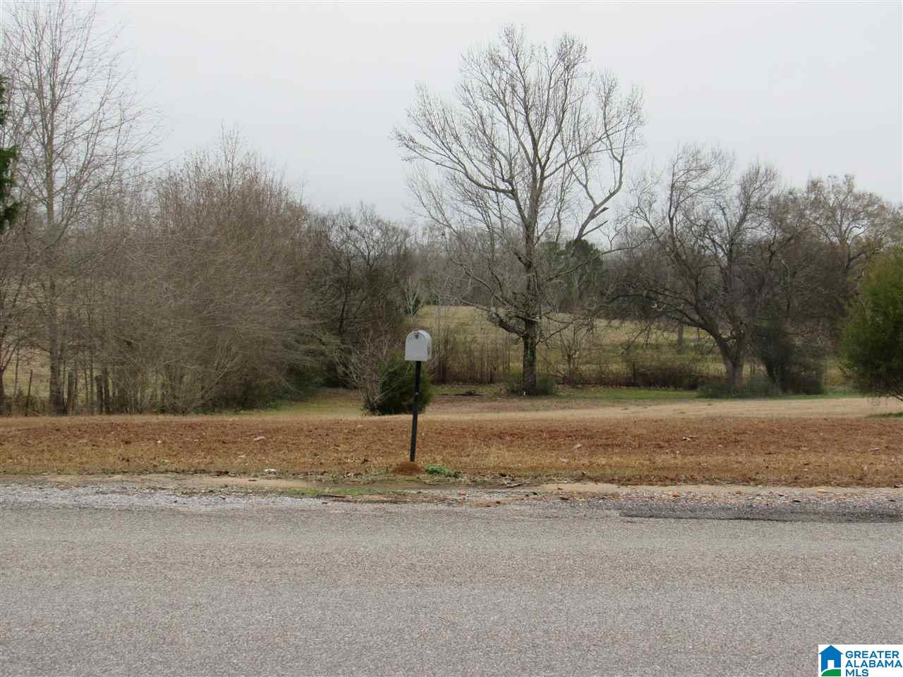 190 County Road 484 Clanton, AL 35046 - Photo 45 of 45