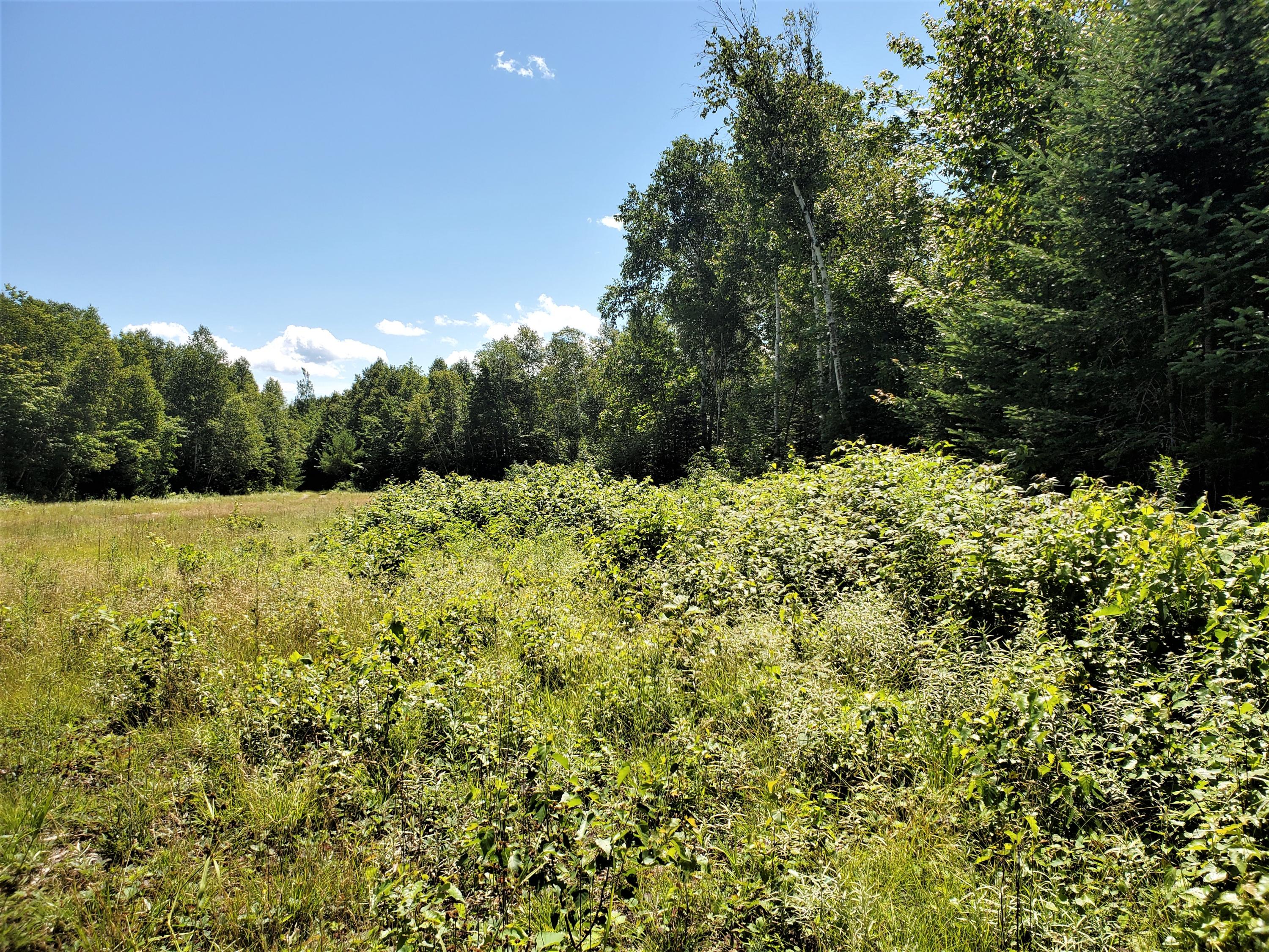 Tbd Chase Pond Road Caratunk, ME 04925 - Photo 16 of 26 Upper Landing