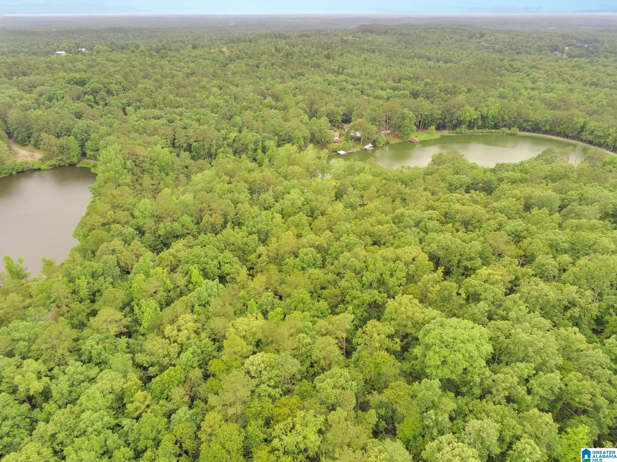 0 County Road 727, Unit 13 Montevallo, AL 35115 - Photo 12 of 15