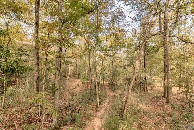 $567,000 | 9839 Byrnes Road, St. Francisville, LA 70775